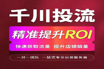 搜索引擎优化（SEO）与竞价广告（SEM）的对比案例